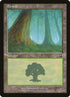 347-forest.jpg