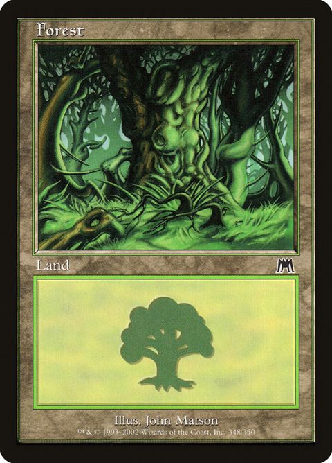 348-forest.jpg