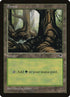 348-forest.jpg