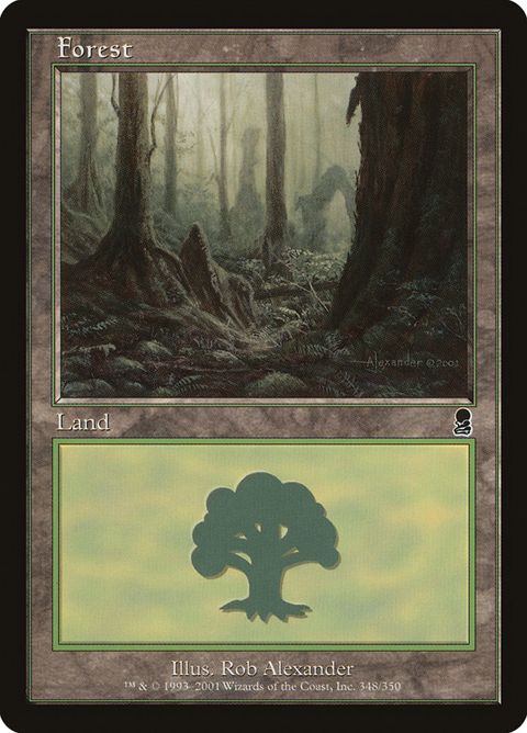 348-forest.jpg