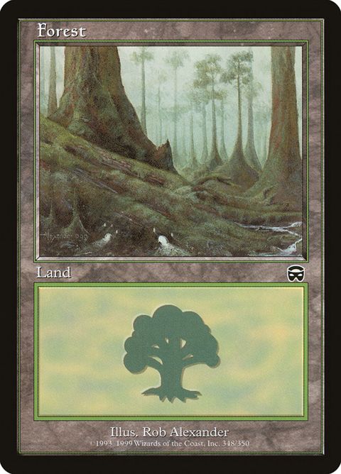 348-forest.jpg