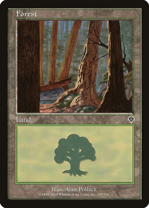348-forest.jpg
