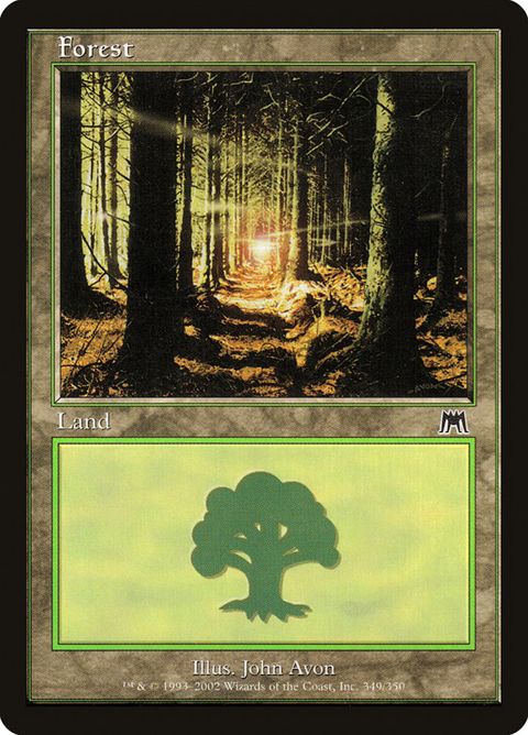 349-forest.jpg