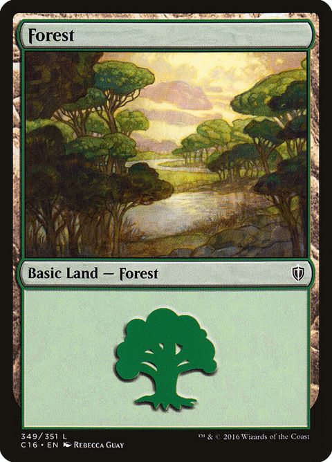 349-forest.jpg
