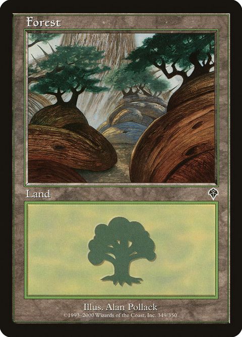 349-forest.jpg
