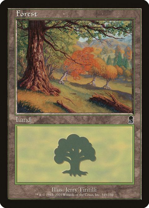 349-forest.jpg