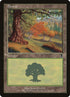 349-forest.jpg