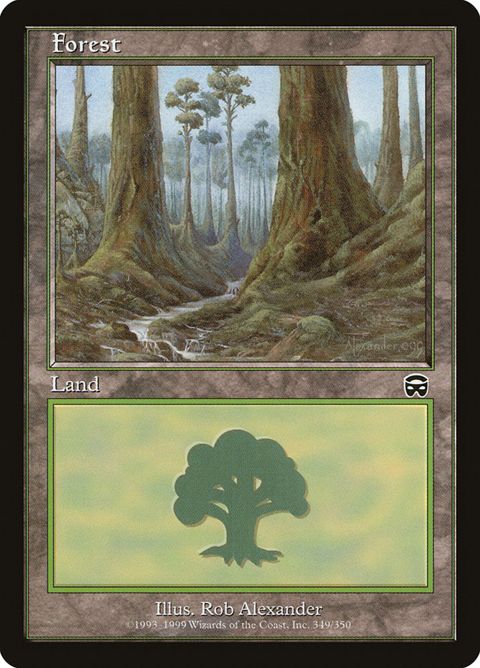 349-forest.jpg