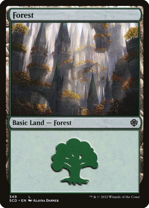 349-forest.jpg