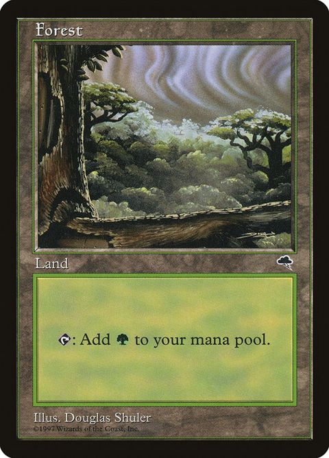 349-forest.jpg