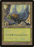 349-forest.jpg