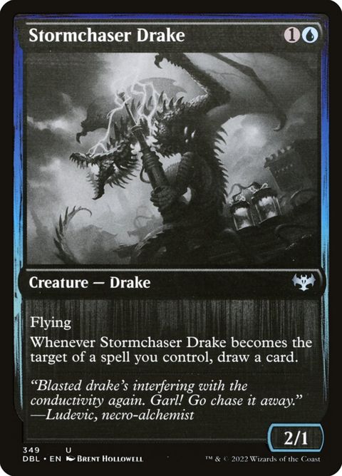 349-stormchaserdrake.jpg