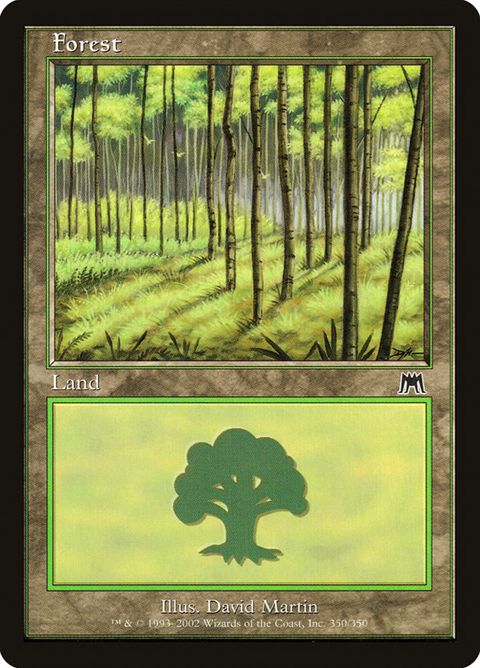 350-forest.jpg