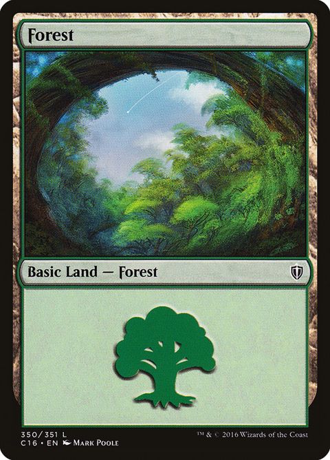 350-forest.jpg