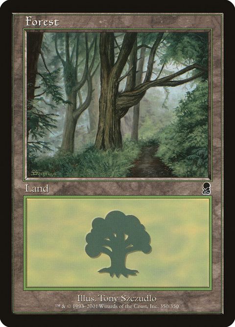 350-forest.jpg