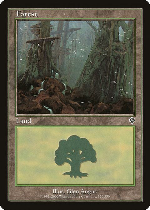 350-forest.jpg