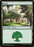 350-forest.jpg