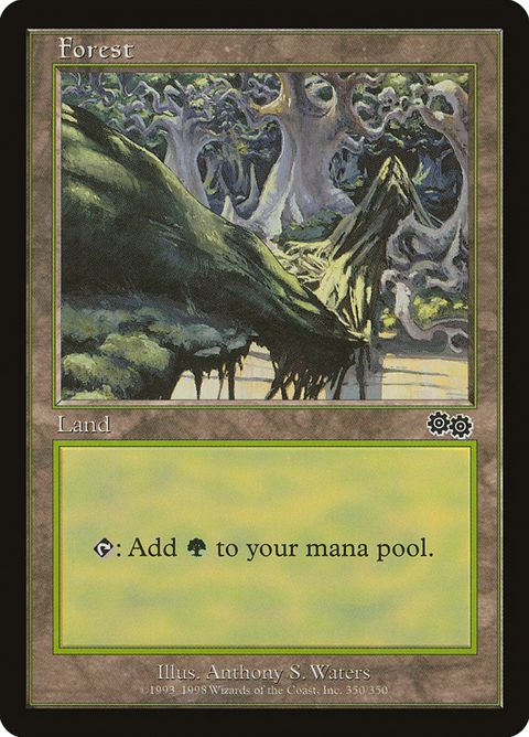 350-forest.jpg