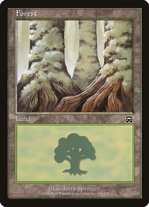 350-forest.jpg