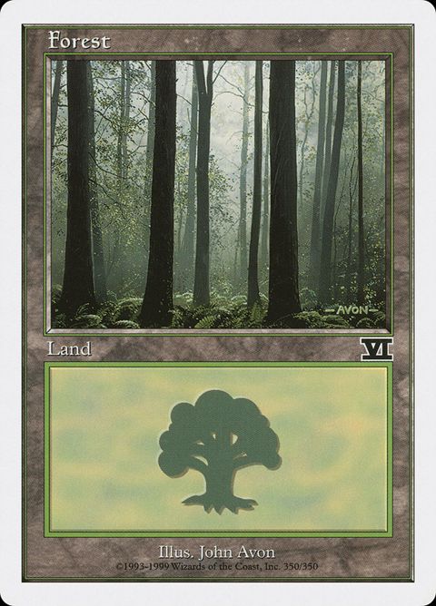 350-forest.jpg