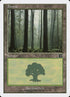 350-forest.jpg