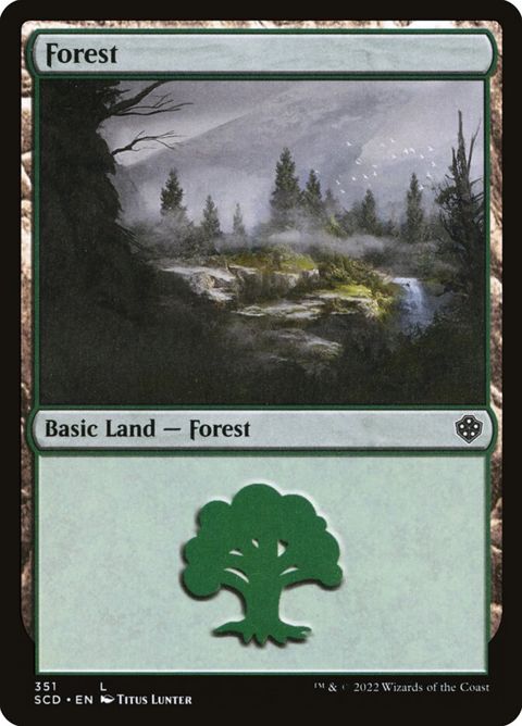 351-forest.jpg