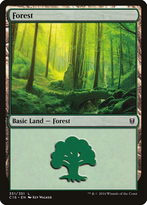 351-forest.jpg