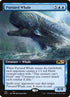 351-pursuedwhale.jpg