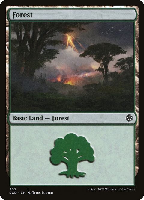 352-forest.jpg