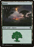 352-forest.jpg