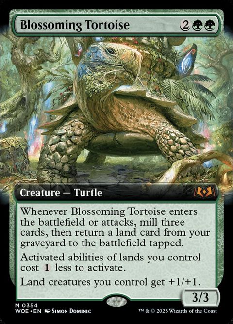 354-blossomingtortoise.jpg