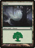 354-forest.jpg