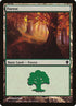 355-forest.jpg