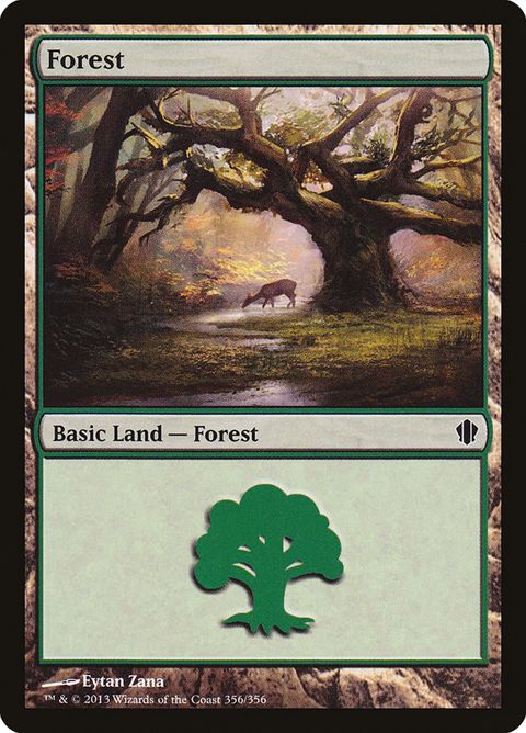 356-forest.jpg