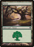 356-forest.jpg