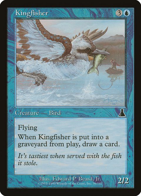 36-kingfisher.jpg