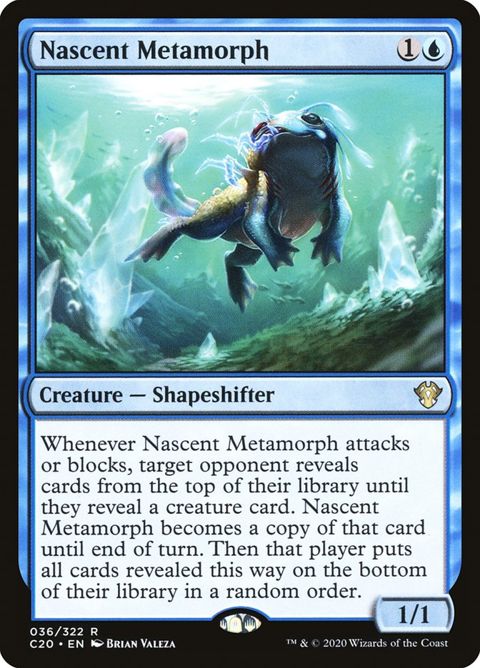 36-nascentmetamorph.jpg