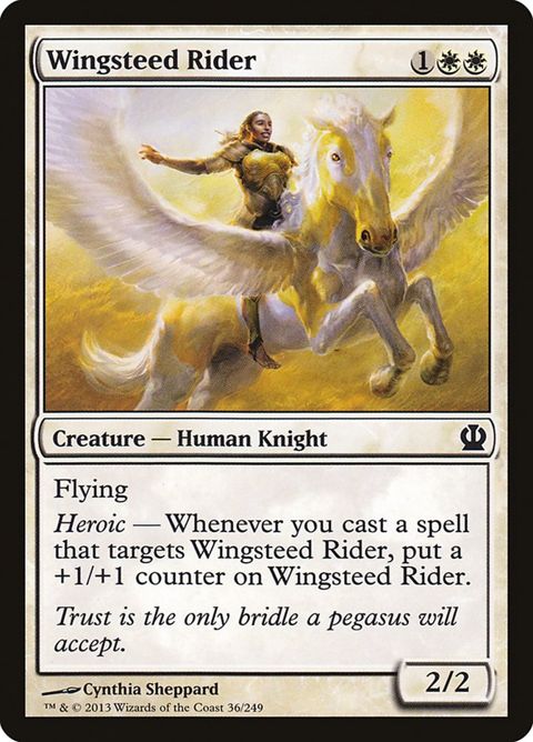 36-wingsteedrider.jpg