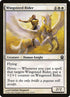 36-wingsteedrider.jpg