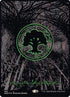 369-forest.jpg