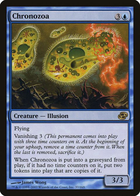 37-chronozoa.jpg