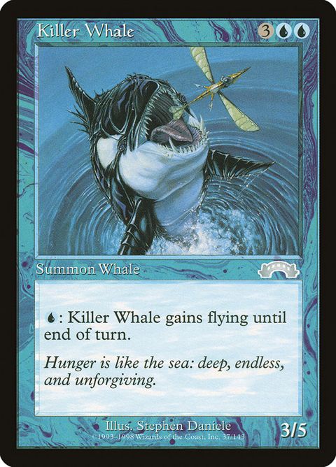 37-killerwhale.jpg