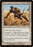 37-nomaddecoy.jpg