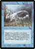 37-tanglekelp.jpg