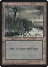 374-swamp.jpg