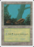 376-forest.jpg