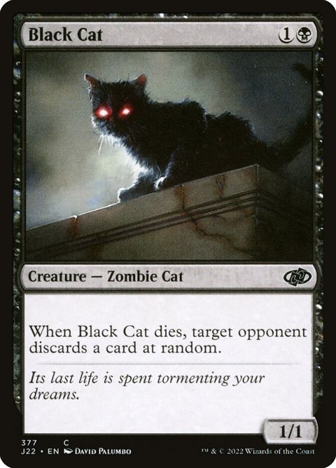 377-blackcat.jpg