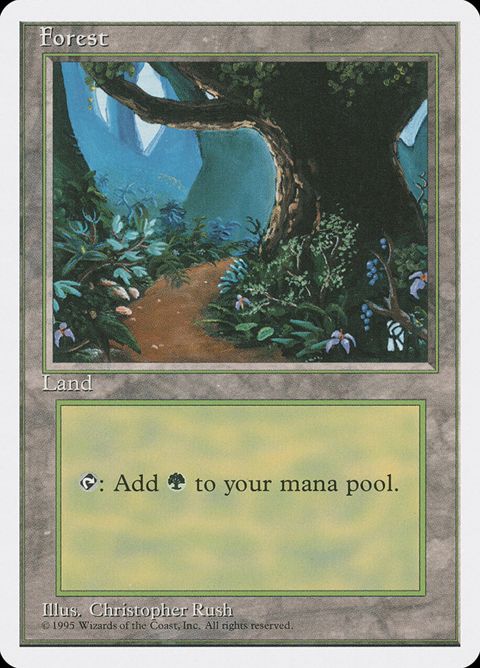 377-forest.jpg