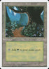 377-forest.jpg