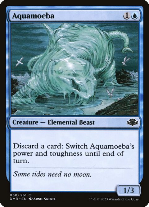 38-aquamoeba.jpg